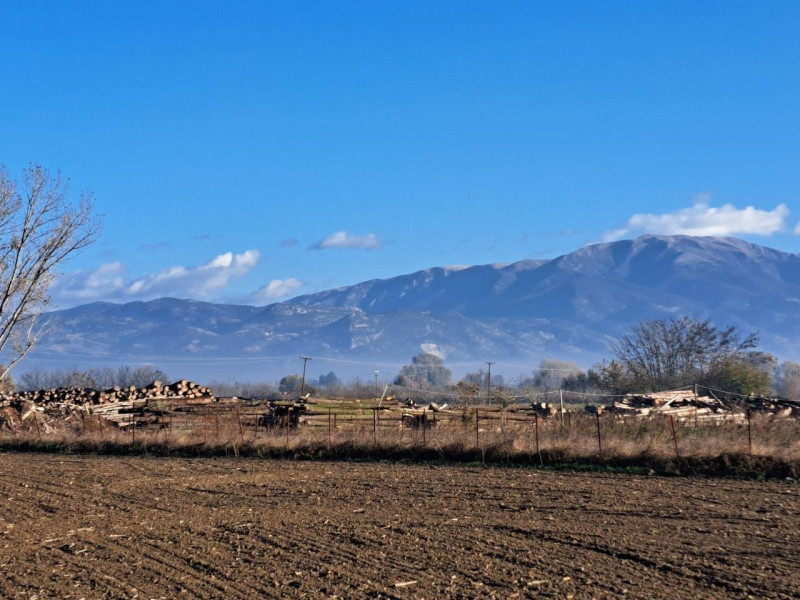 Land Plot, Serres