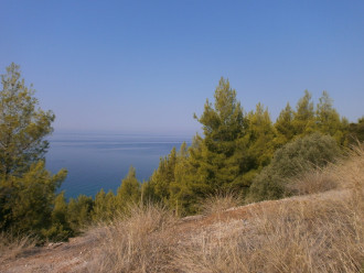 Αγροτεμάχιο, Παλλήνη, Χαλκιδική