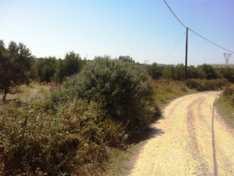 Οικόπεδο, Ρέθυμνο