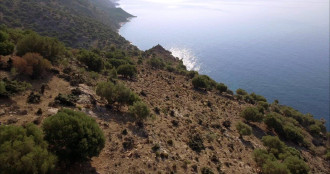 Παραθαλάσσια έκταση, Κως