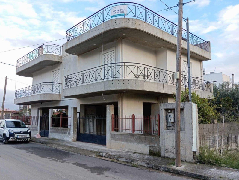 House, Fili