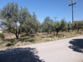 Οικόπεδο, Νέα Αρτάκη, Εύβοια