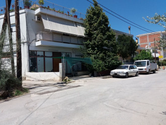 Κατάστημα, Μώλος, Φθιώτιδα