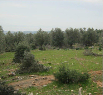 Αγροτεμάχιο, Ερέτρια