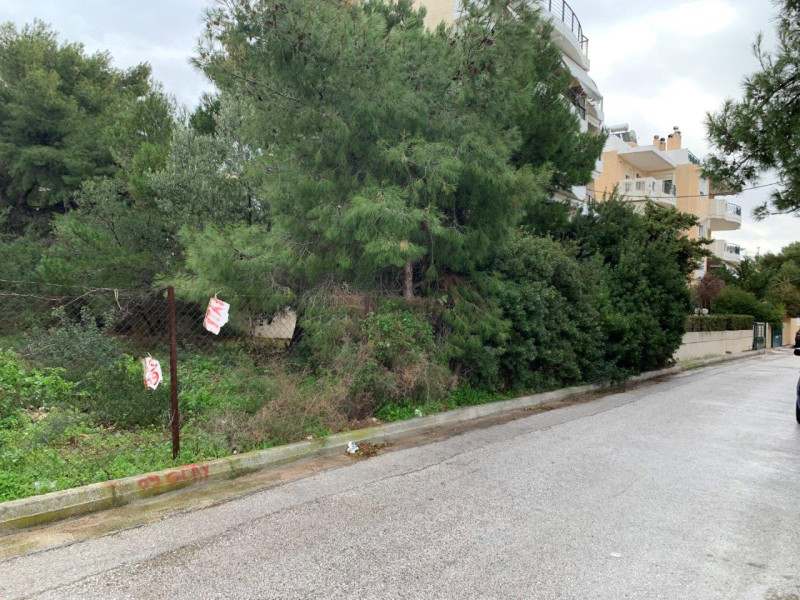 Plot, Nirea, Rafina