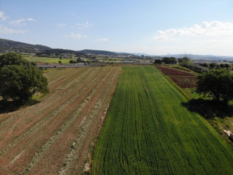 Αγροτεμάχιο, Αλεξανδρούπολη