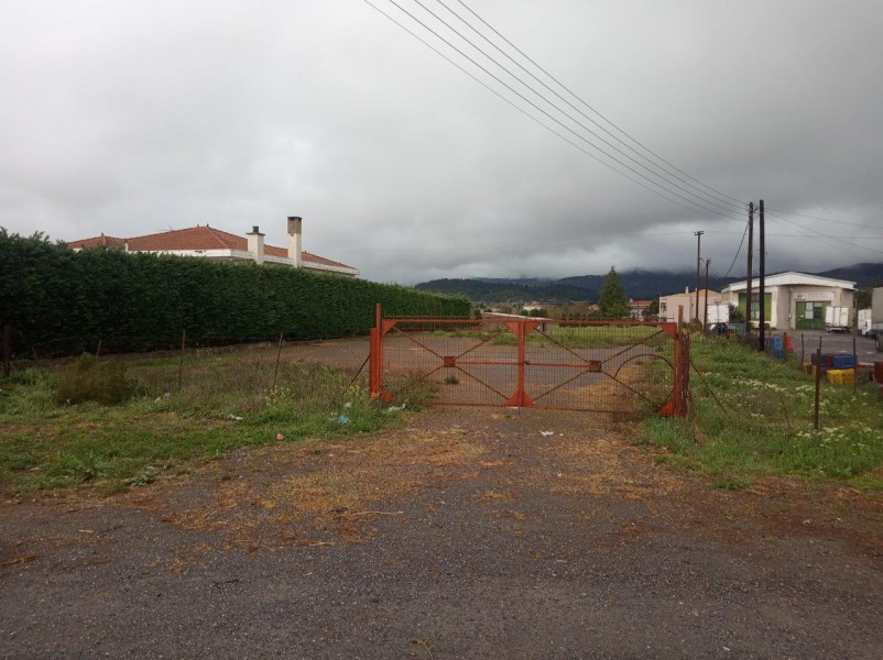 Plot, Tripoli