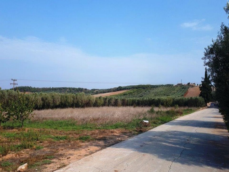 Plot, Nea Moudania