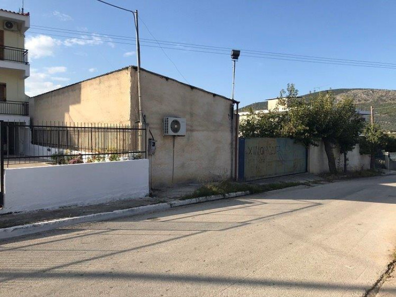 Plot, Chiliomodi