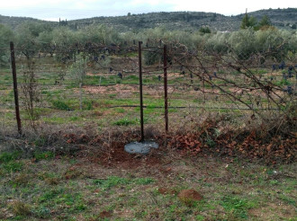 Aγροτεμάχιο, Κόρινθος