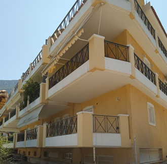 Διαμέρισμα, Σπύρου Λούη και πεζόδρομος, Άγιος Κωσταντίνος, Φθιώ