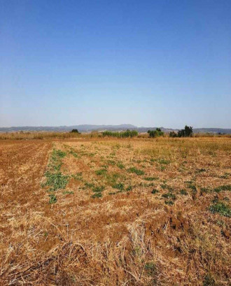 Αγροτεμάχιο, Στάνοβο Καβάλαρι, Θεσσαλονίκη