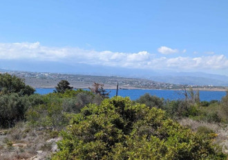 Οικόπεδο, Κουνουπιδιανά, Χανιά