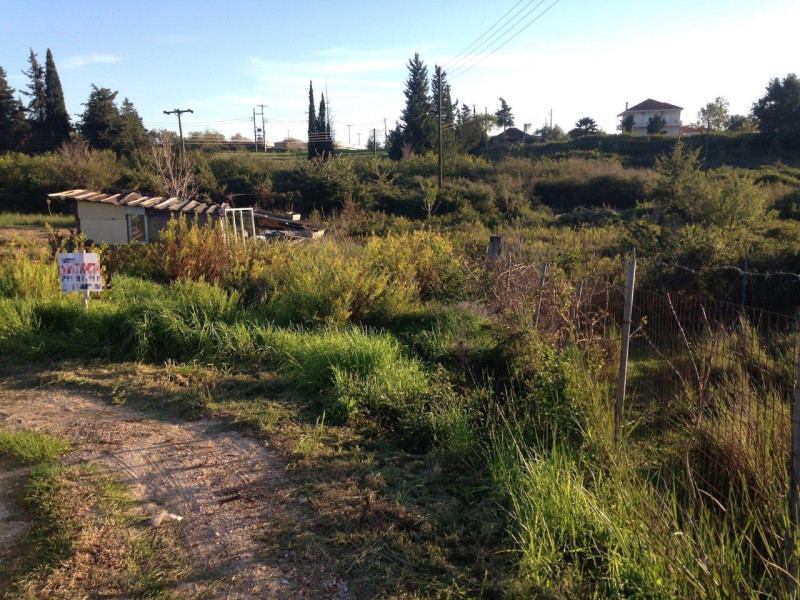 Land, Preveza