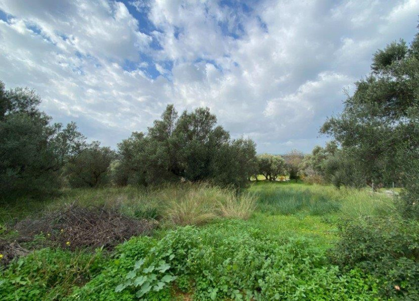 Plot, Messinia