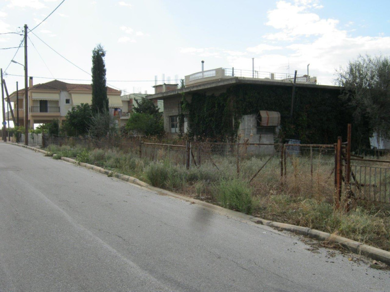 Plot, Larisa