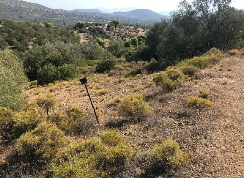 Land plot, Ermioni