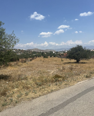 Αγροτεμάχιο, Σαλαμίνα