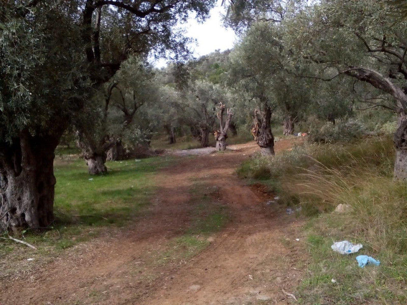 Land plot, Volos