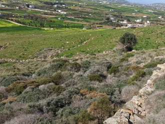 Αγροτεμάχιο, Μάρπησσα, Πάρος